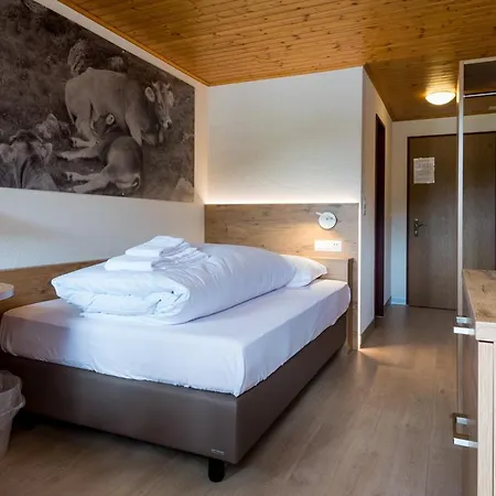 Hotel Walser