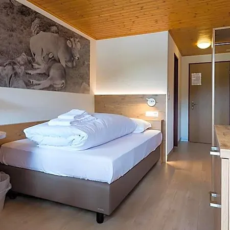 Hotel Walser